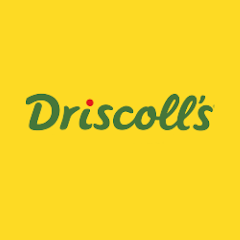 Driscoll's logo