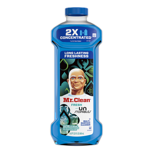 Mr Clean Home Care Offer — $1.00 Off